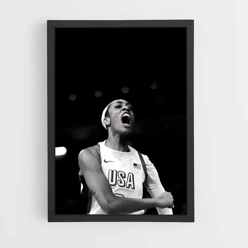 Poster wilson basketball (vue 2)